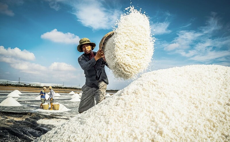 Đông Hải phát triển nghề làm muối truyền thống