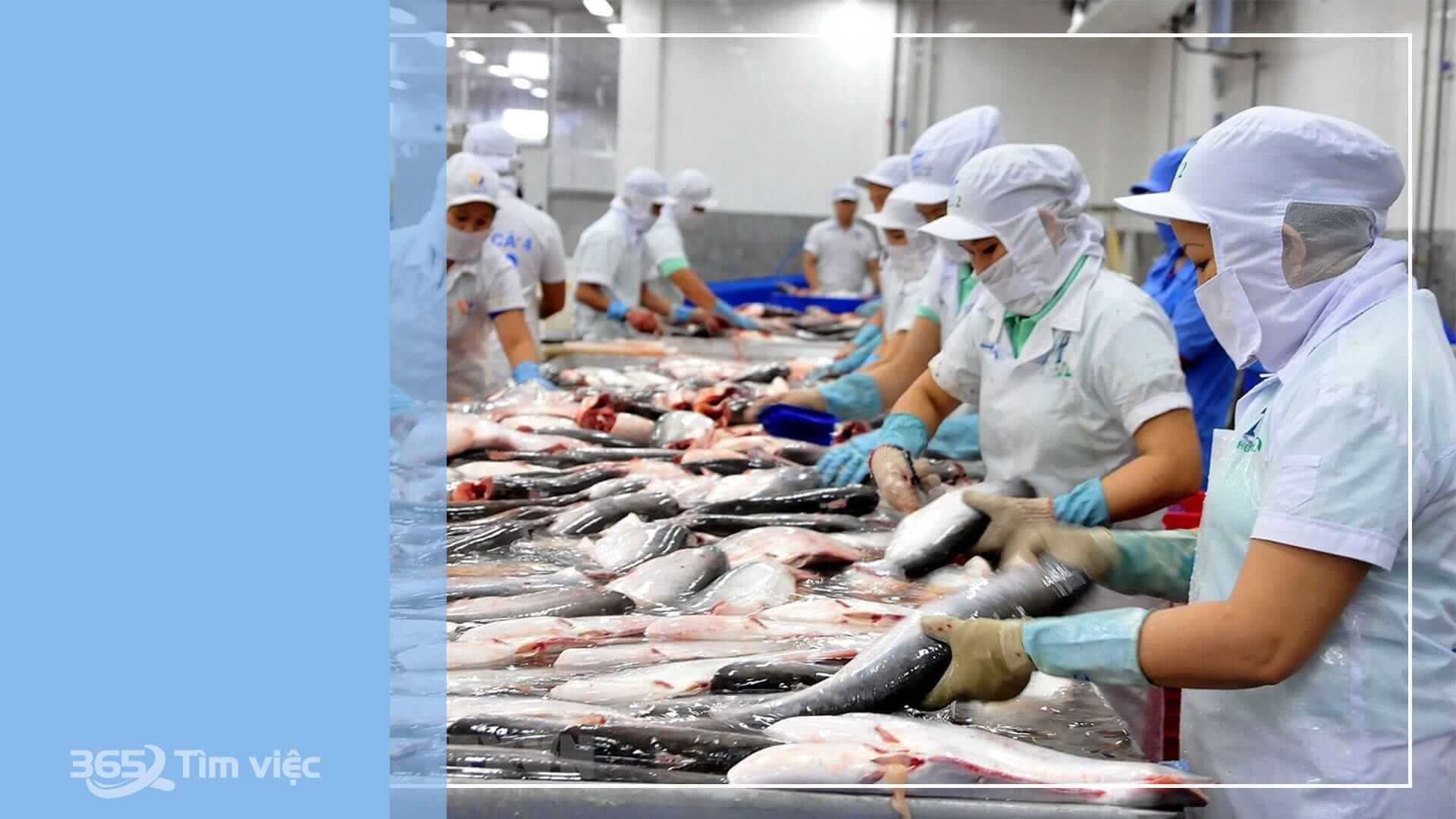 Việc làm nhóm lao động phổ thông