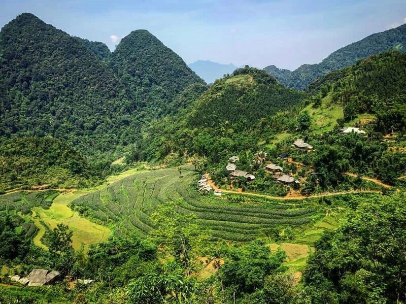 Tình hình sản xuất kinh tế huyện Hà Trung