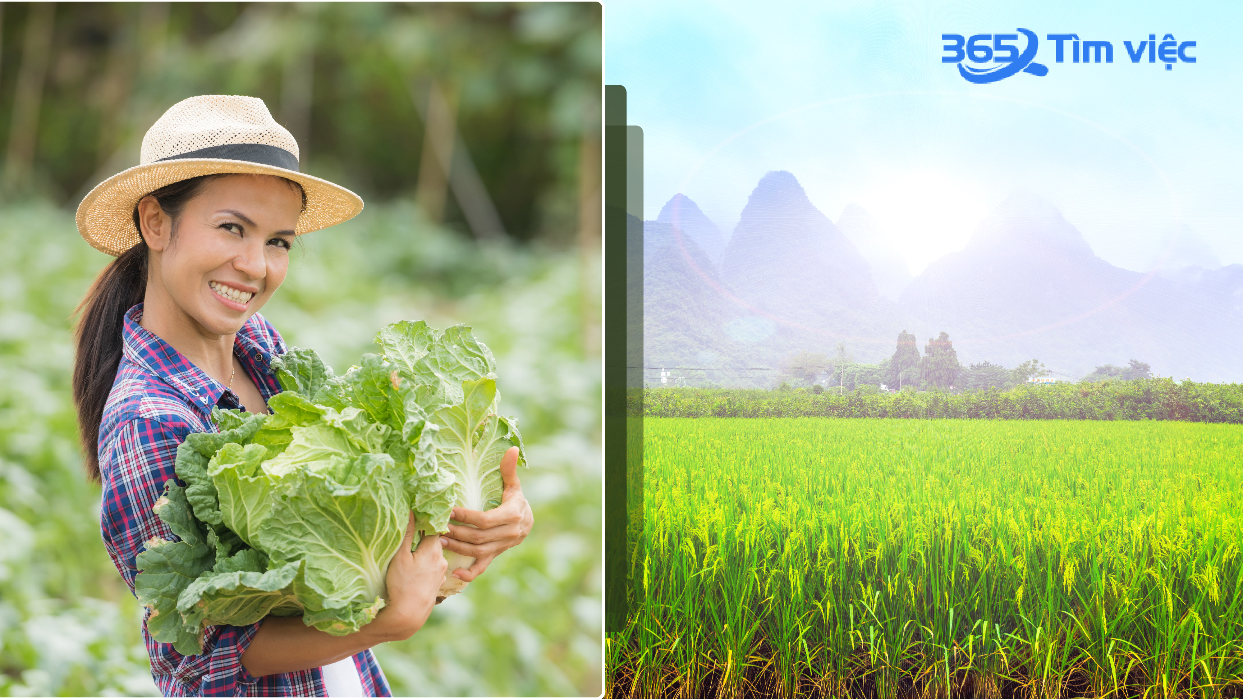 Sản xuất nông, lâm nghiệp – ngành nghề phát triển chính của huyện