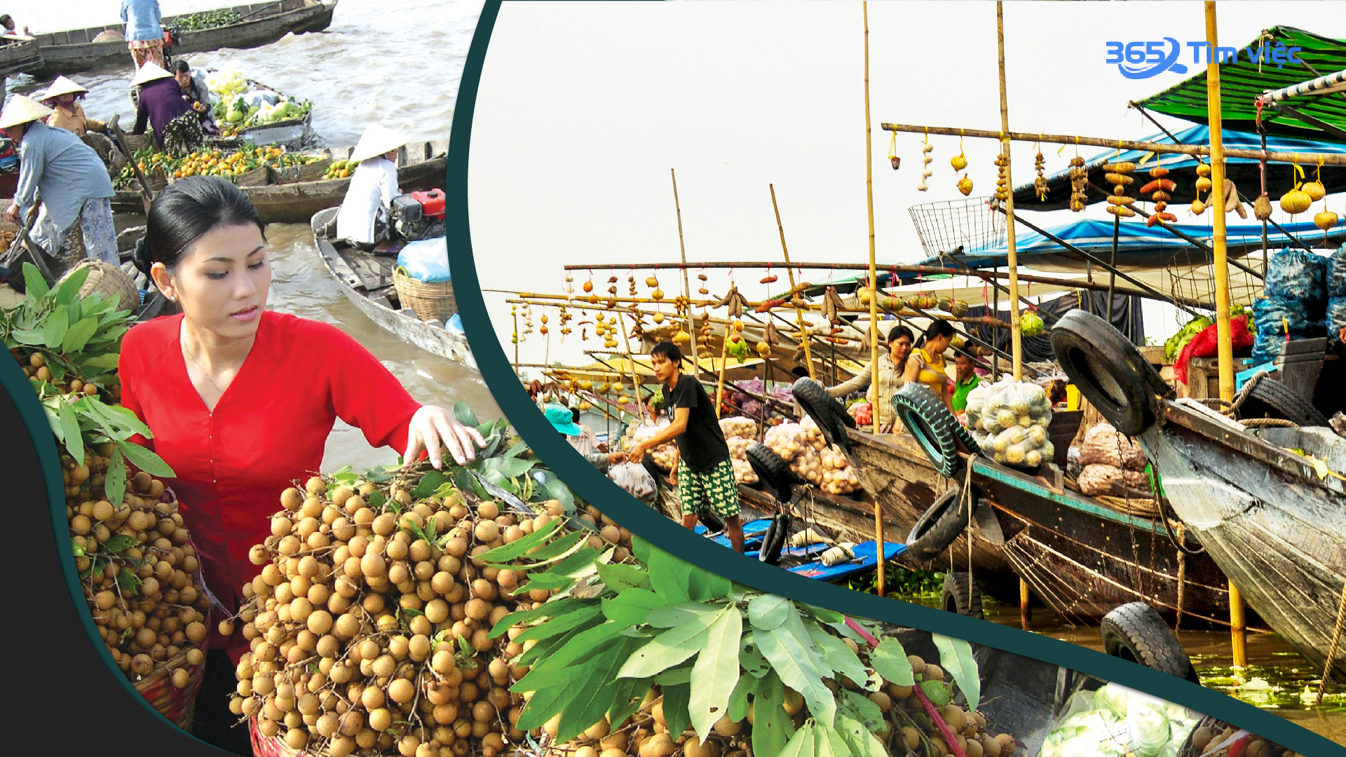 Kinh tế của huyện Như Thanh, Thanh Hóa phát triển như thế nào?