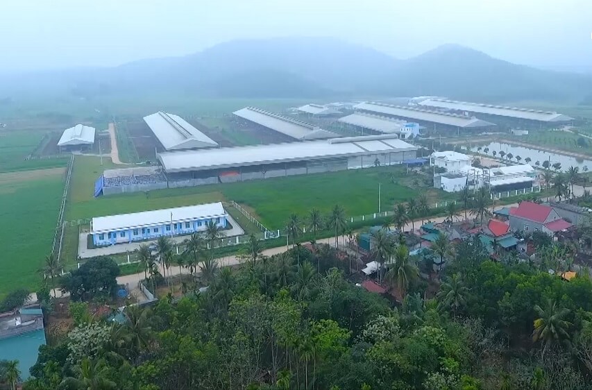 Đặc điểm phát triển của doanh nghiệp tại huyện Như Thanh