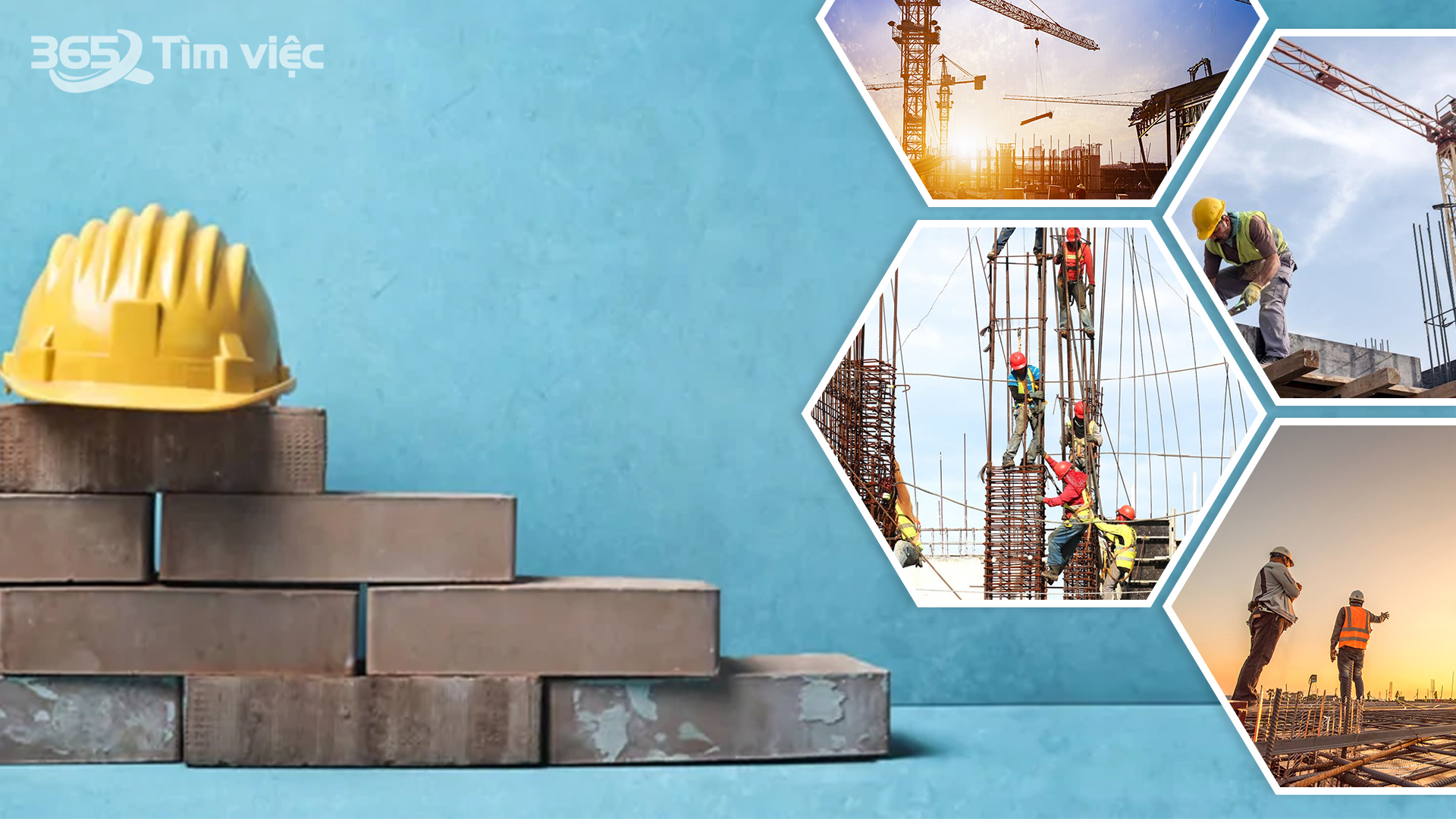 Tiềm năng năng thế mạnh tại huyện Tam Nông – Đồng Tháp
