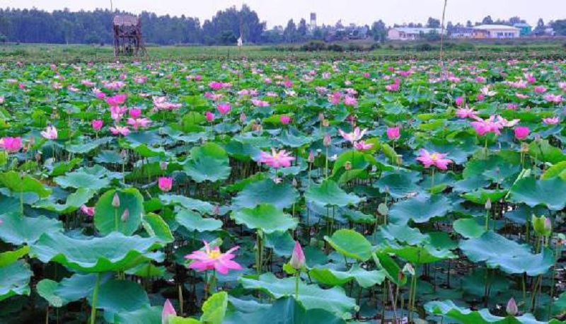 Sơ lược về huyện