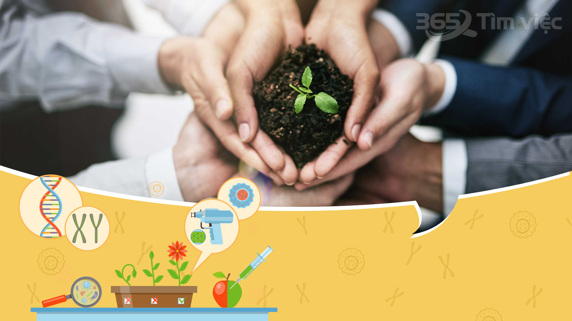 Huyện Tri Tôn phát triển nông nghiệp ứng dụng cao