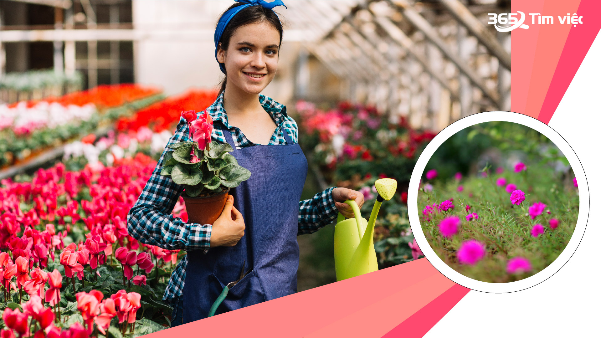 Việc làm tiểu thủ công nghiệp - ngành /nghề truyền thống tại thành phố Sa Đéc - Đồng Tháp