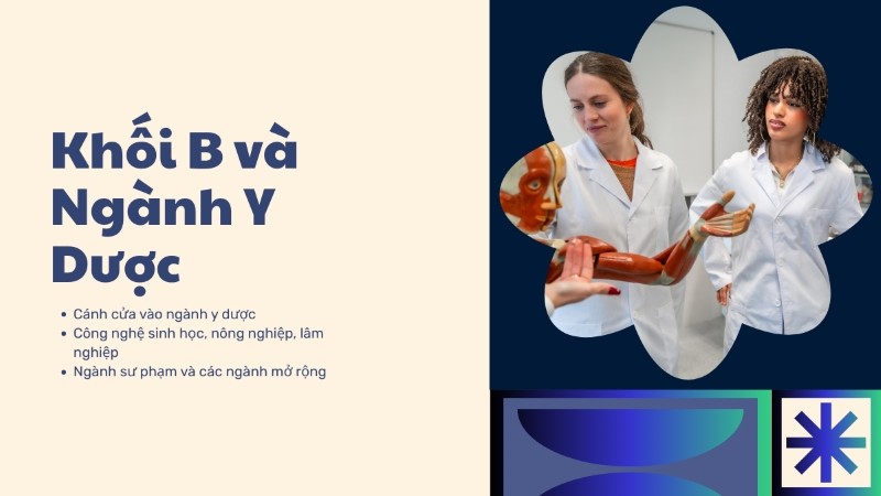 Các ngành y dược