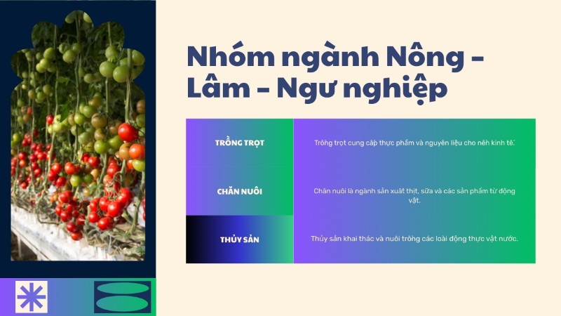 Nhóm ngành nông – lâm – ngư nghiệp