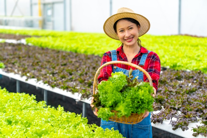 Nông nghiệp hữu cơ, sản phẩm bản địa và sinh kế bền vững