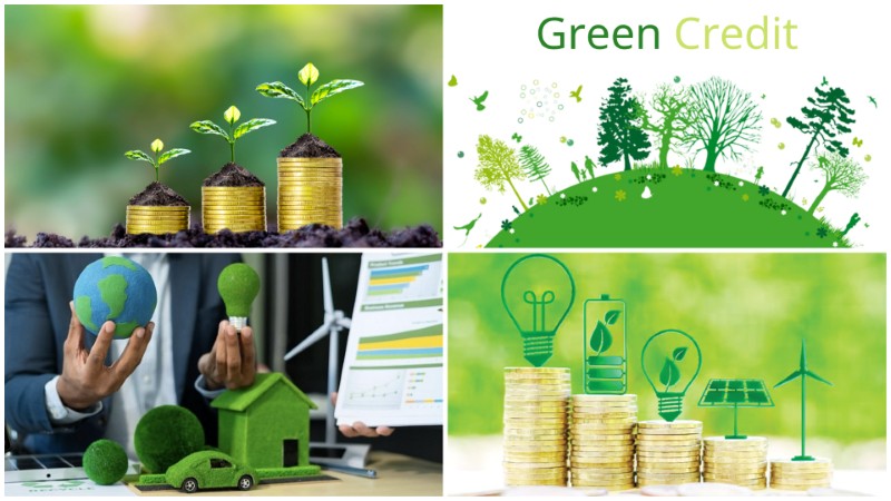 Các sản phẩm và công cụ tài chính xanh phổ biến