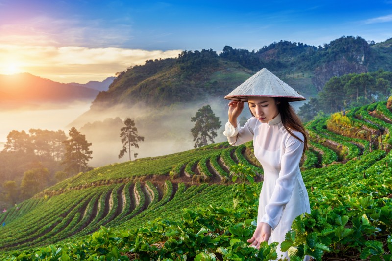 Thị trường tài chính xanh tại Việt Nam bắt đầu hình thành và ngày càng mở rộng