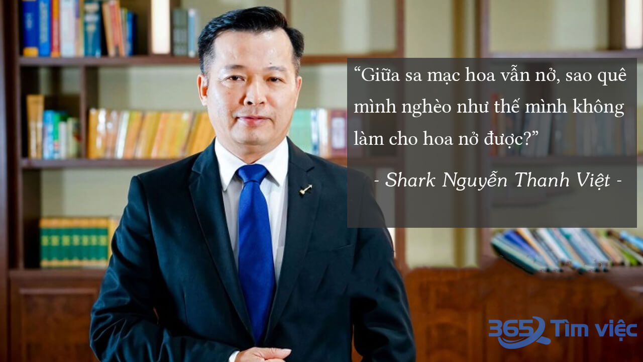 Thời niên thiếu của shark Việt