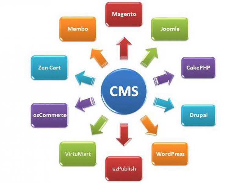 Cách thức hoạt động và điều hành của CMS