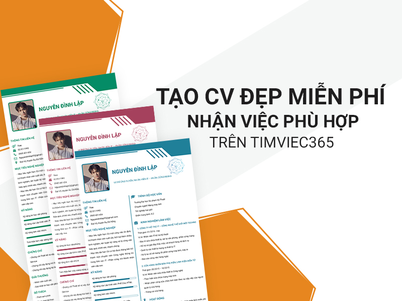 Cách bước tạo CV cộng tác viên trên timviec365.vn 