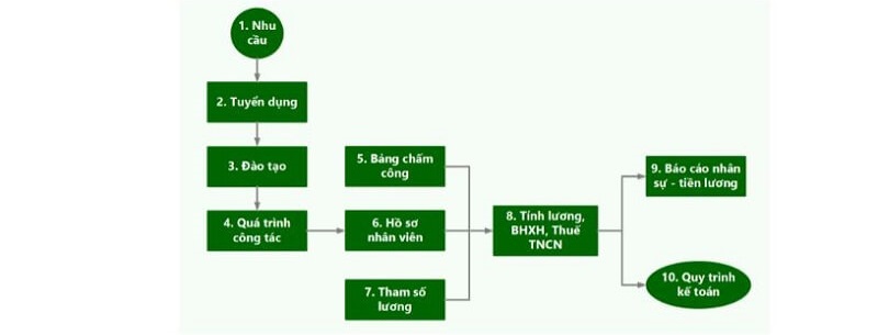 Sơ đồ quy trình quản lý nhân sự