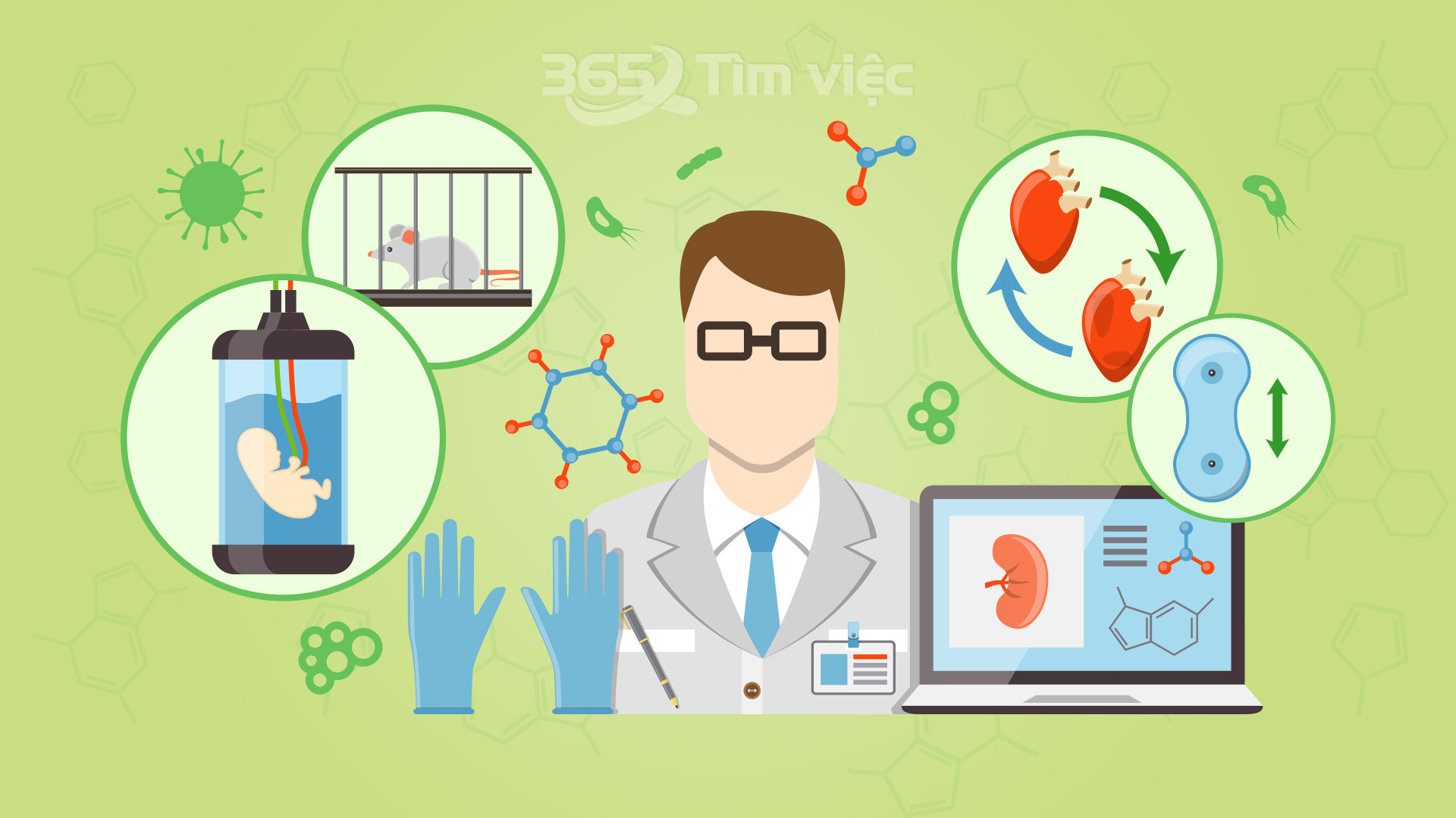 Mức lương và chế độ đãi ngộ