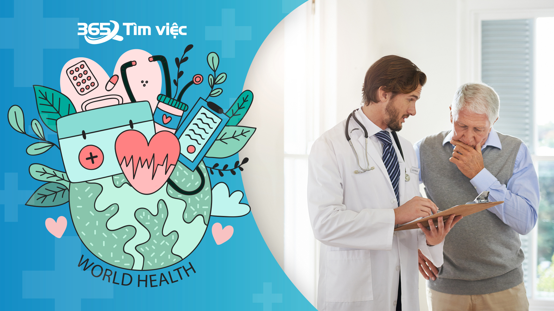 Yêu cầu về kỹ năng, trình độ và kinh nghiệm