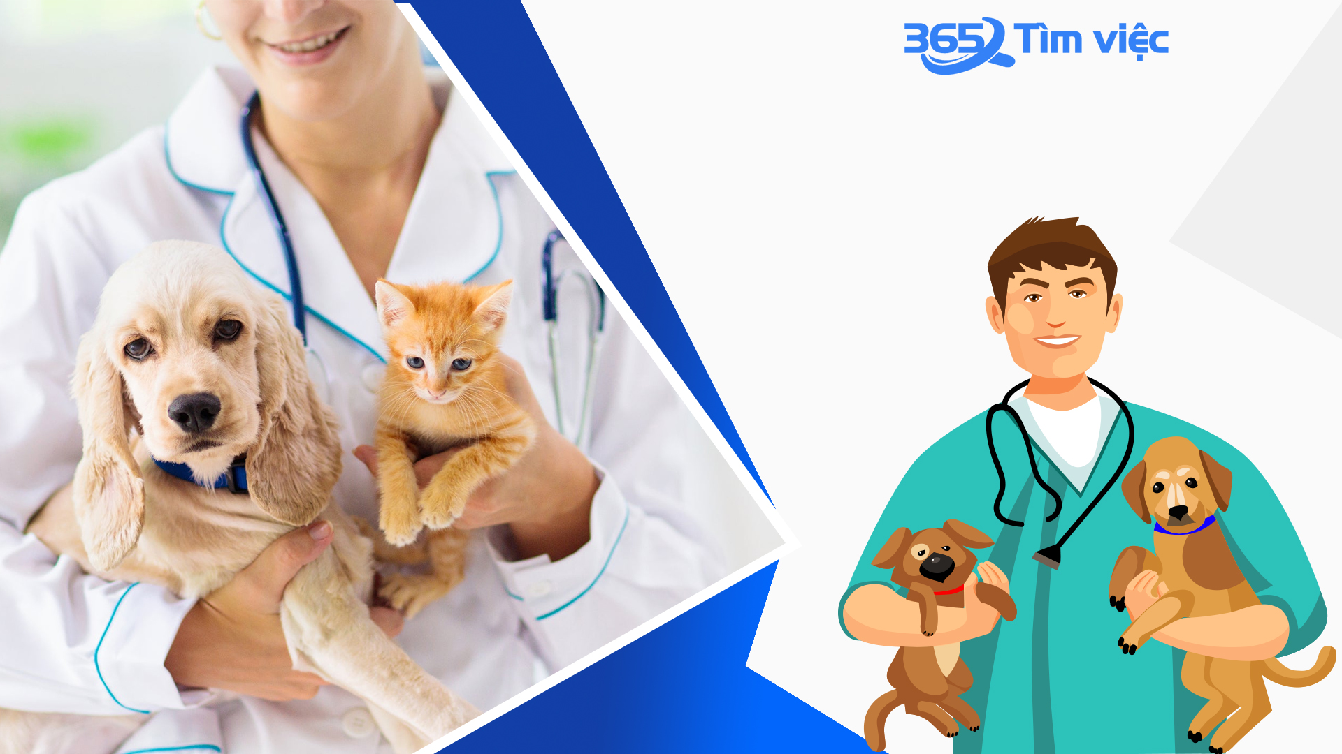 Danh sách các trường Đại học hàng đầu đào tạo ngành thú Y chất lượng nhất