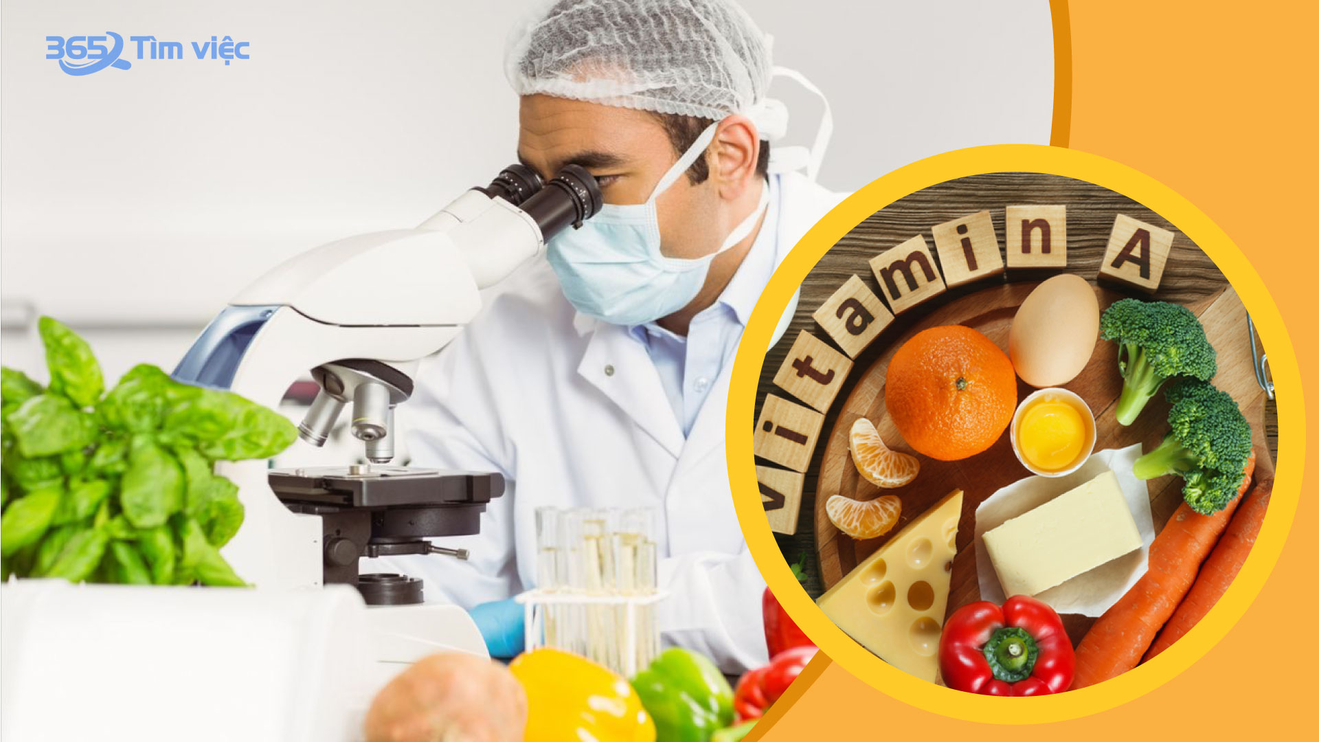 Thu nhập và quyền lợi của nhân viên phòng thí nghiệm vi sinh bạn đã rõ?