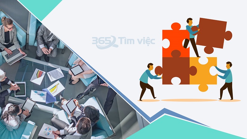 Việc làm tại quận Ô Môn, Cần Thơ - Danh sách các doanh nghiệp trên địa bàn quận Ô Môn