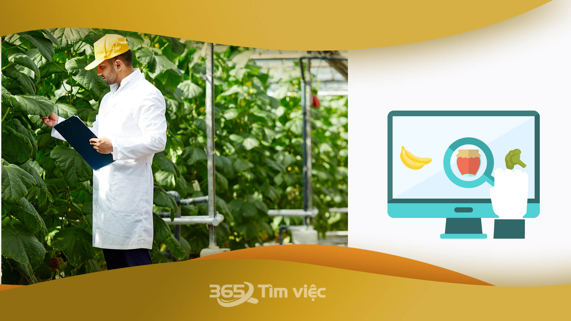  Mô tả việc làm nhân viên R&D thực phẩm