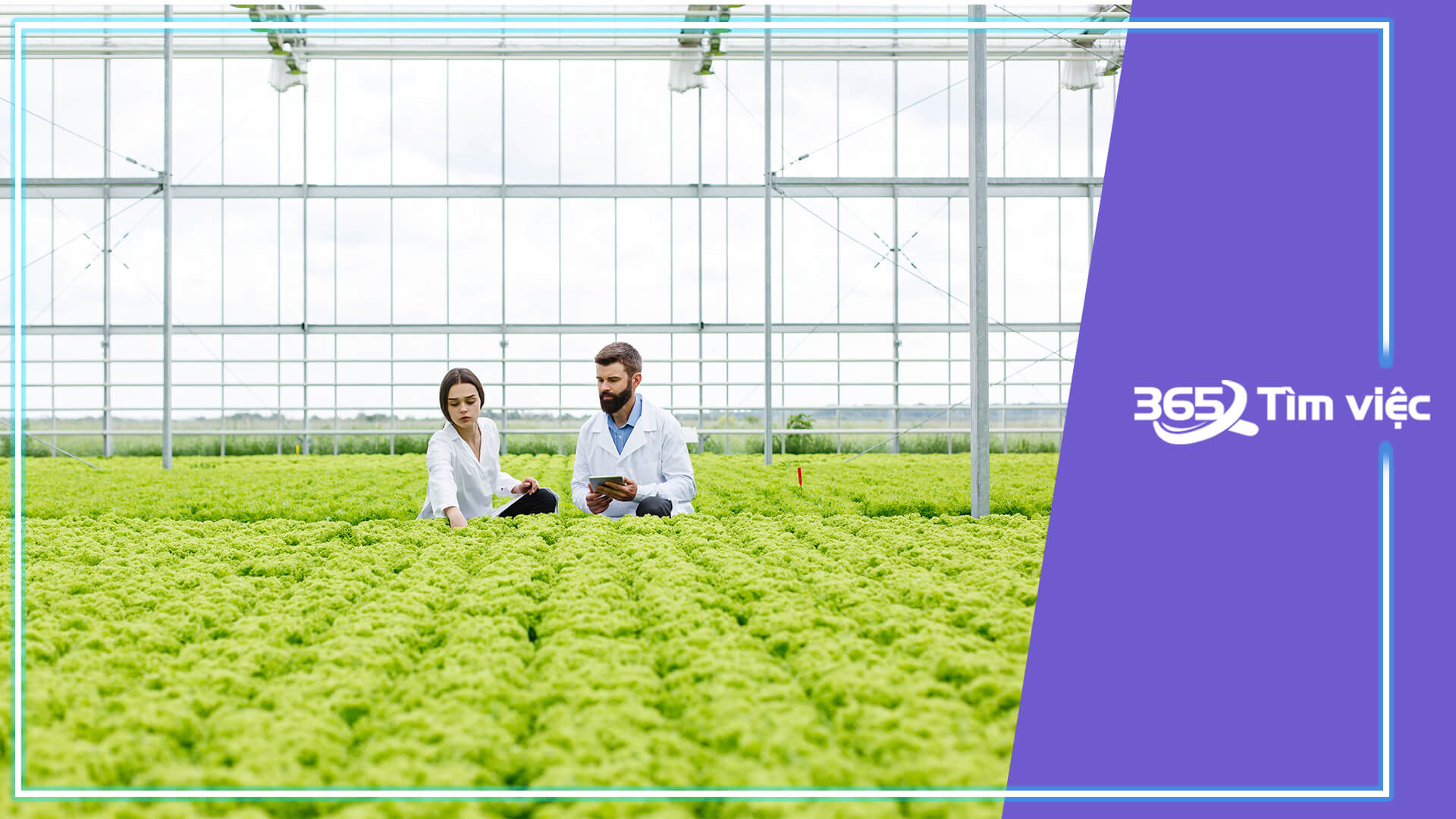 Những yêu cầu đối với việc làm nhân viên R&D thực phẩm