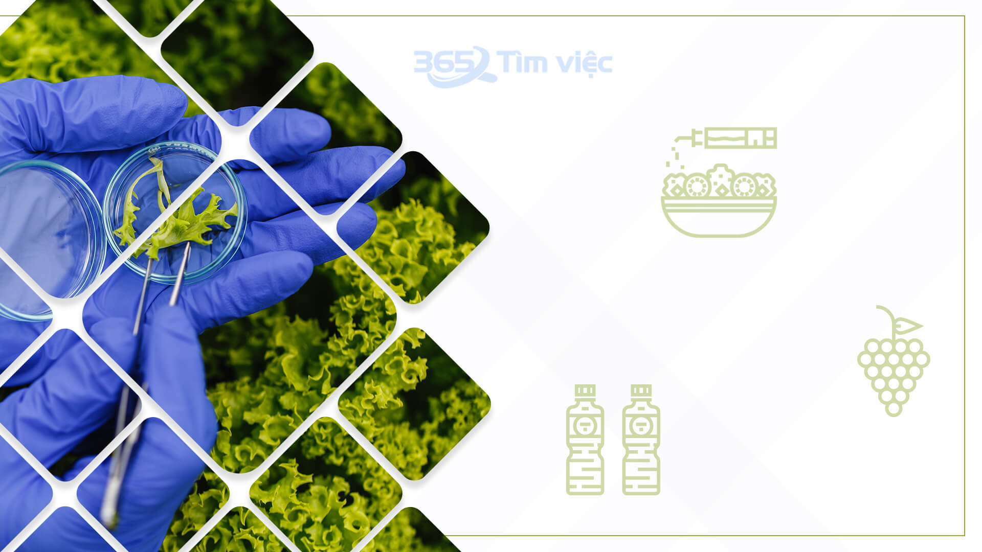 Các quyền lợi mà nhân viên R&D thực phẩm được nhận