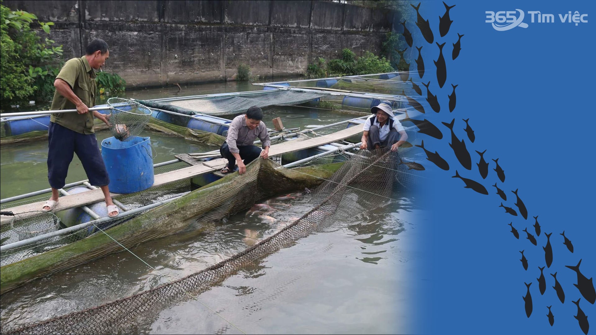 Việc làm nhân viên phát triển thị trường thức ăn chăn nuôi