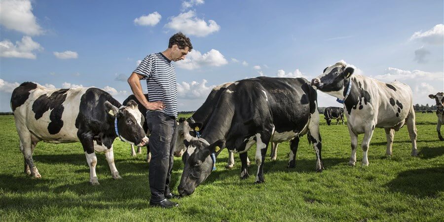 Chăn nuôi hữu cơ có lợi gì cho sức khỏe con người?