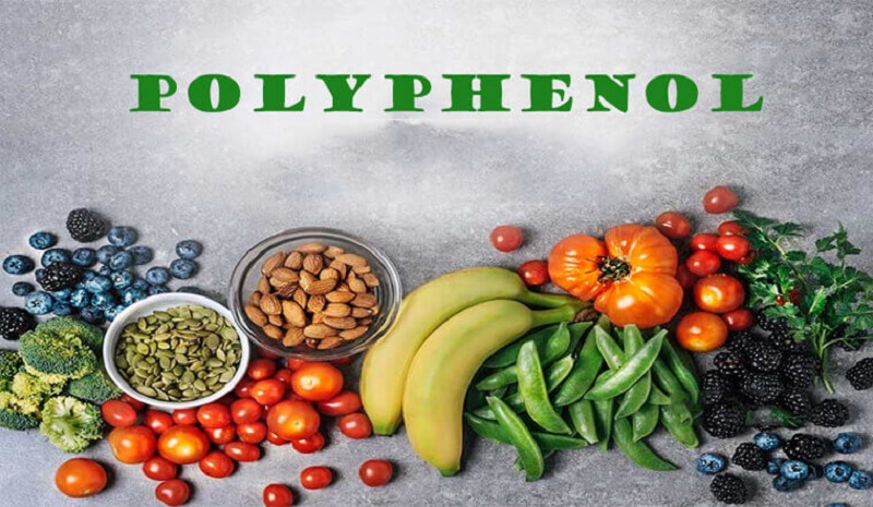 Chất polyphenol là gì?
