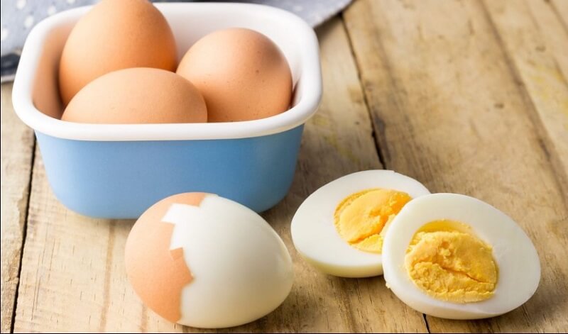 Protein từ trứng rất dồi dào