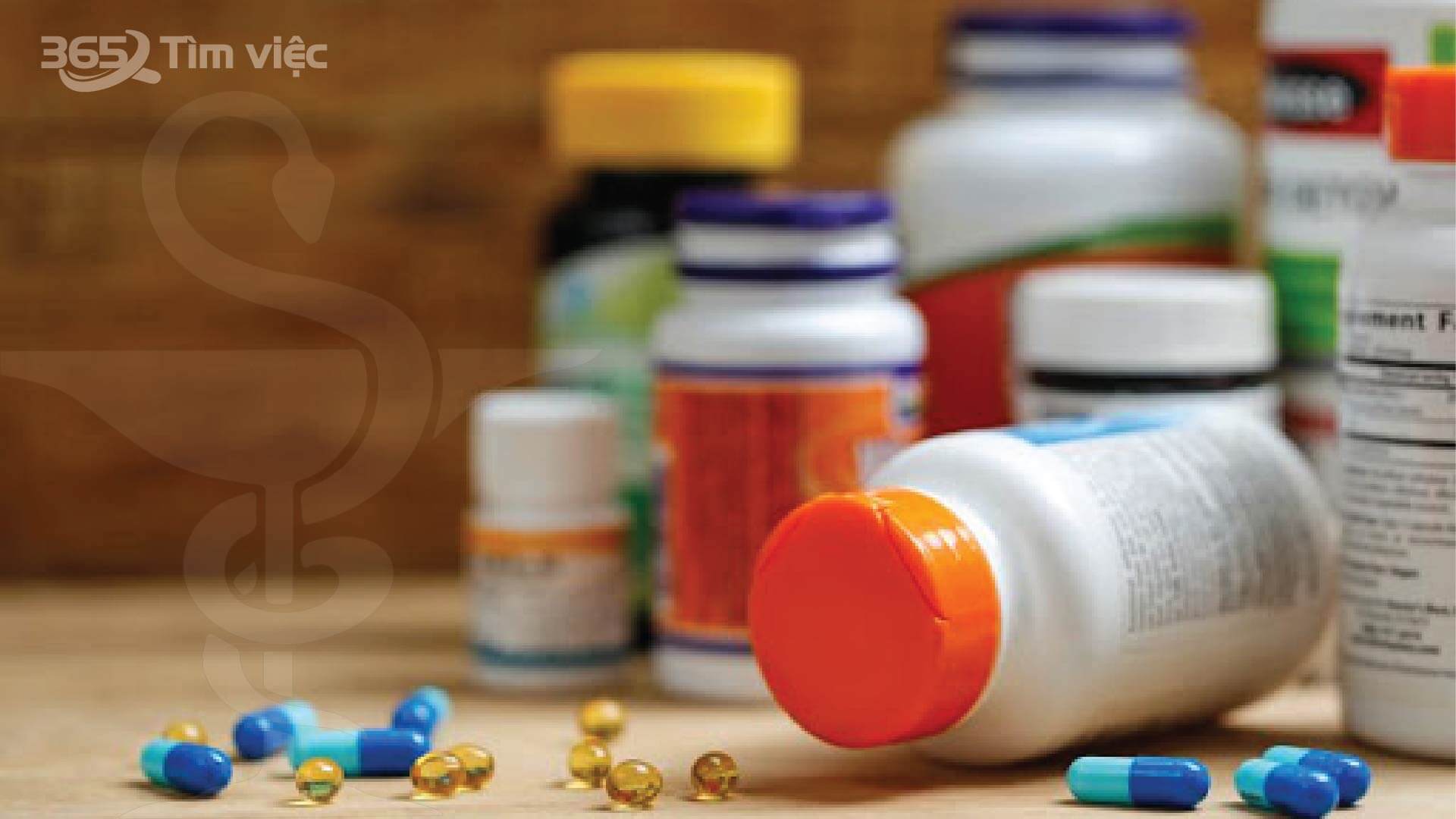 Khái quát chung về việc làm cộng tác viên kinh doanh dược phẩm