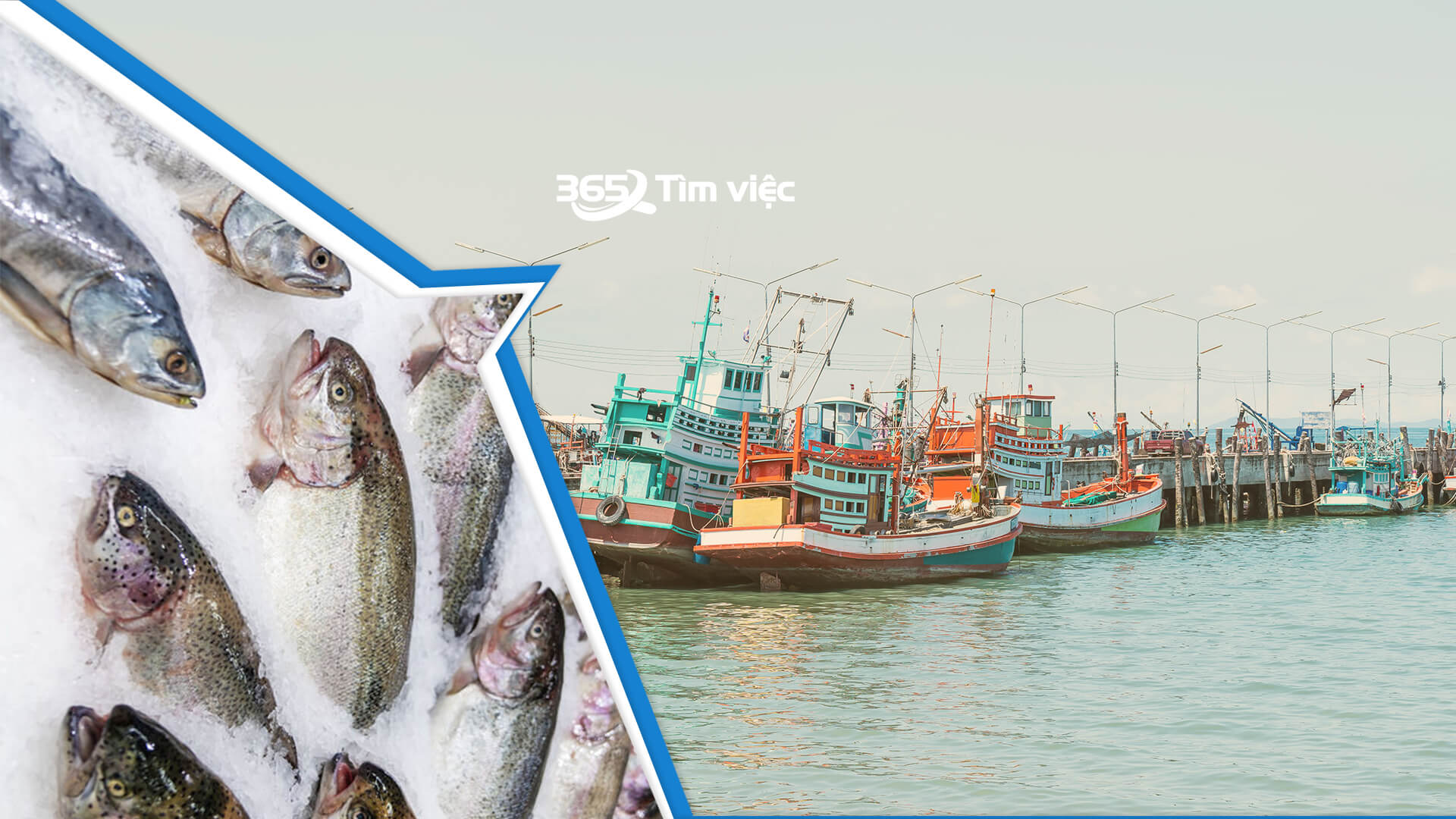 Đôi nét về việc làm kỹ sư thủy lợi