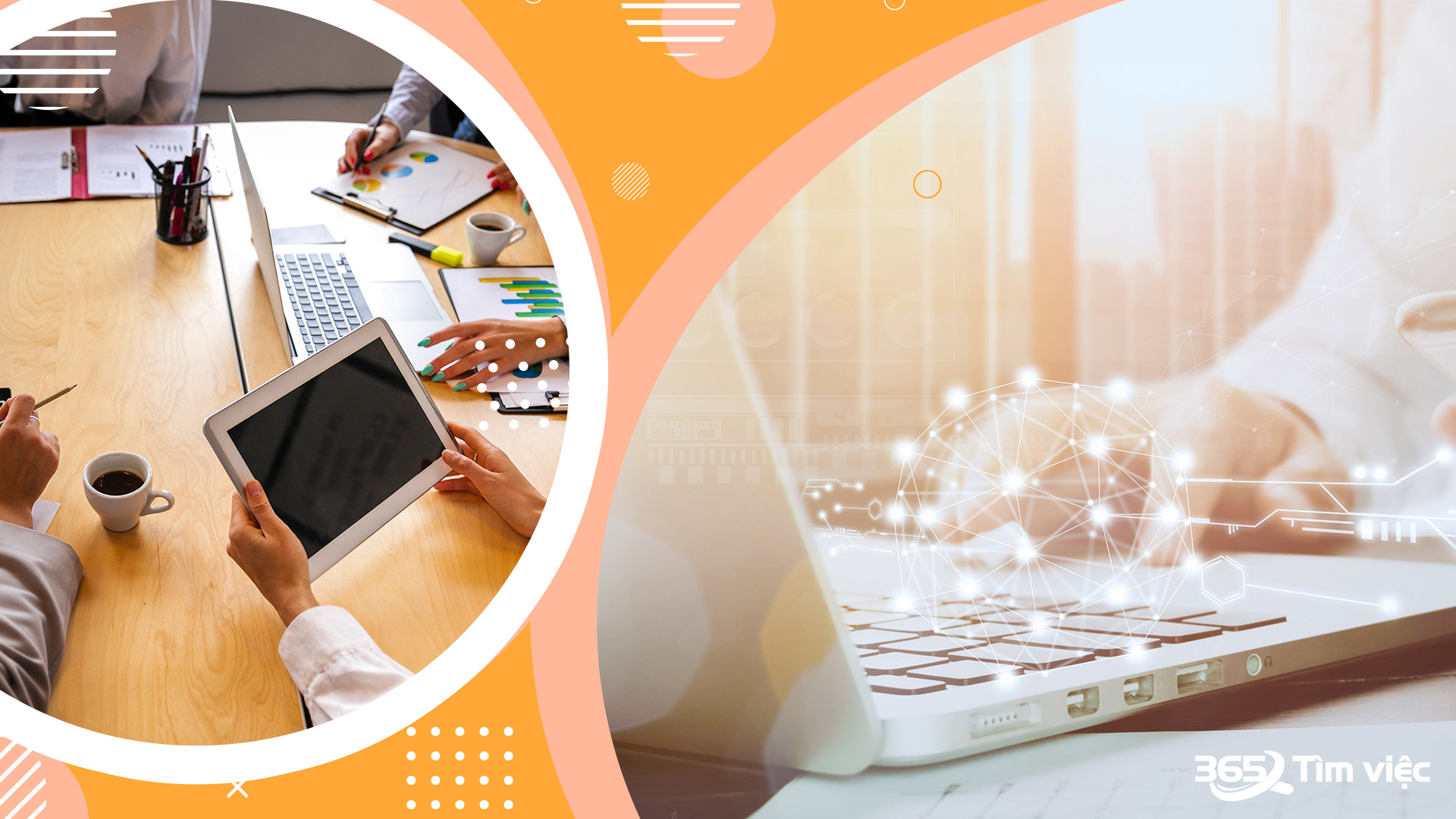 Học ngành gì? Học ở đâu để có thể trở thành thợ phụ sửa chữa ô tô? 