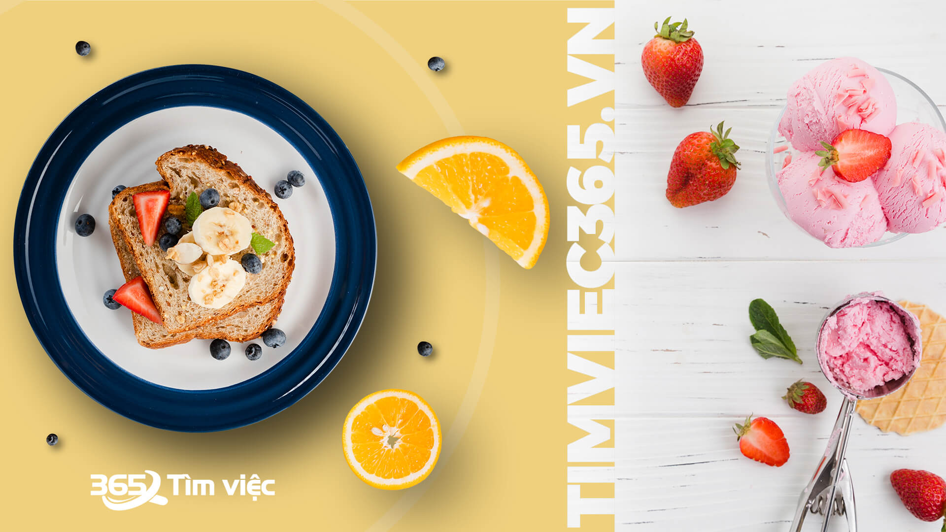 Nắm bắt cơ hội với Timviec365.vn