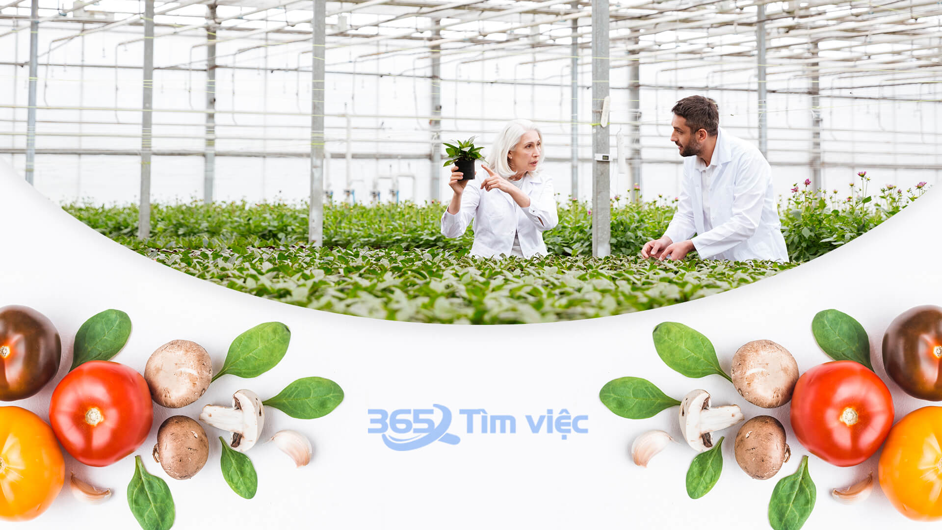 Quản lý nghiên cứu và phát triển