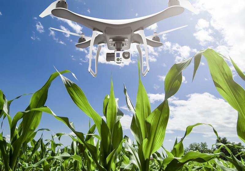 Ở các nước phát triển việc sử dụng Robot, cảm biến hay máy bay không người lái có thể được sử dụng để đánh giá điều kiện trồng trọt