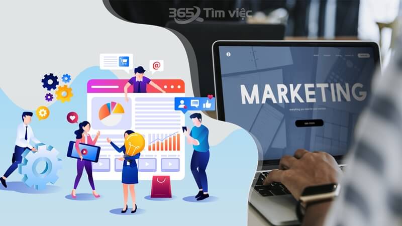 Vị trí Marketing Coordinator và vai trò quan trọng