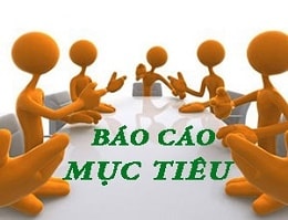 Mẫu báo cáo thực hiện mục tiêu công ty - Tải về miễn phí