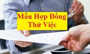 [Download] ► Mẫu hợp đồng thử việc miễn phí