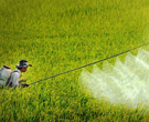 hóa chất nông nghiệp- phân bón- thuốc trừ sâu