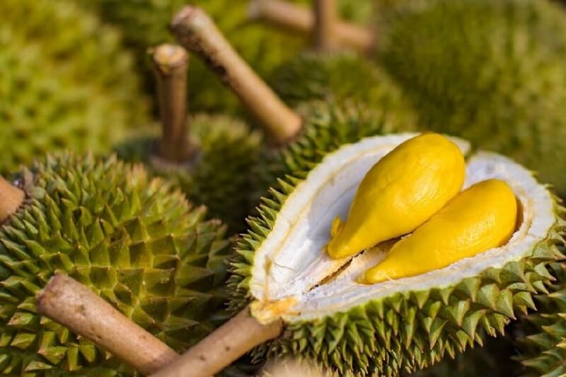 Khám phá về sầu riêng - ăn sầu riêng có tác dụng gì cho sức khỏe