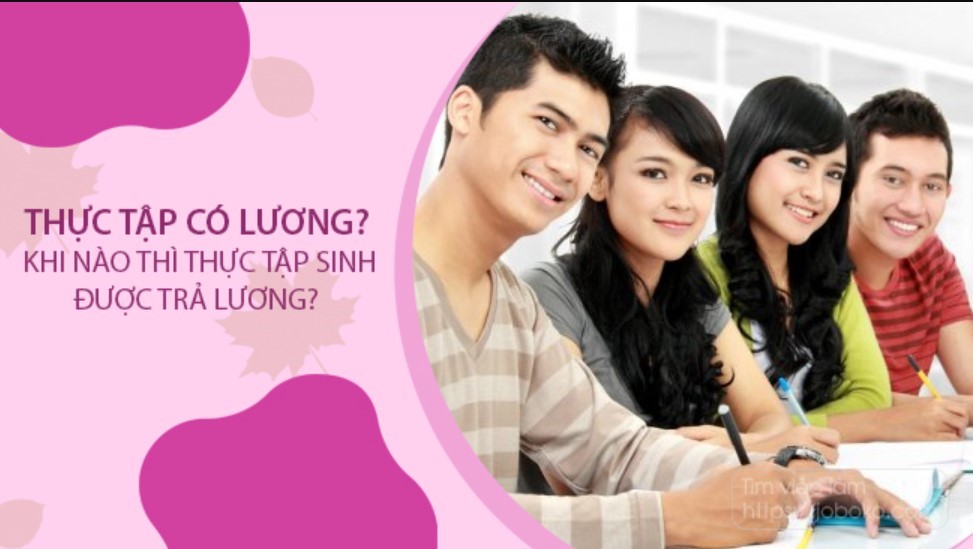 Đi thực tập có lương không? Cái nhìn đúng về lương thực tập