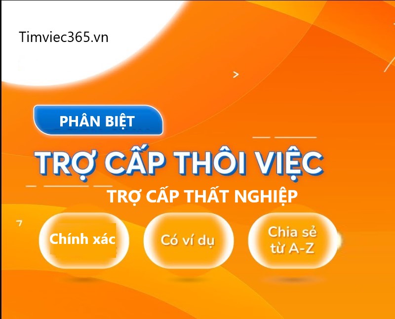 So sánh trợ cấp thôi việc và trợ cấp thất nghiệp