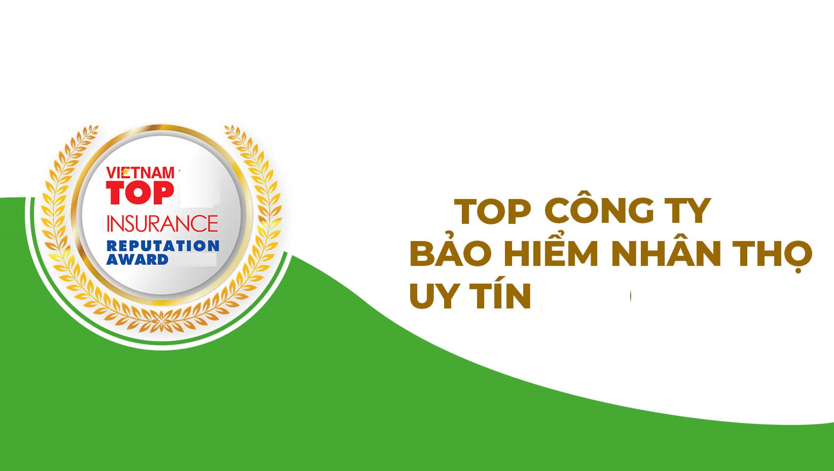 Danh sách các công ty bảo hiểm nhân thọ hàng đầu Việt Nam