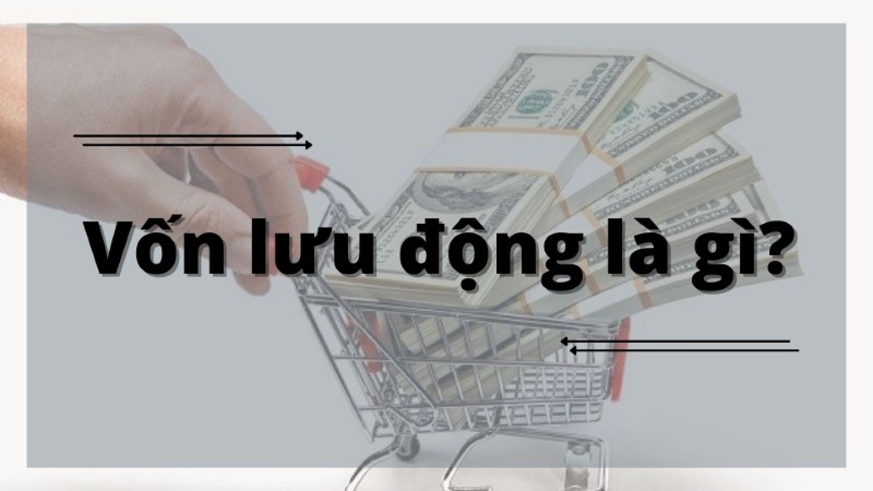 Phần mềm blender là gì? Ứng dụng của Blender trong ngành thiết kế