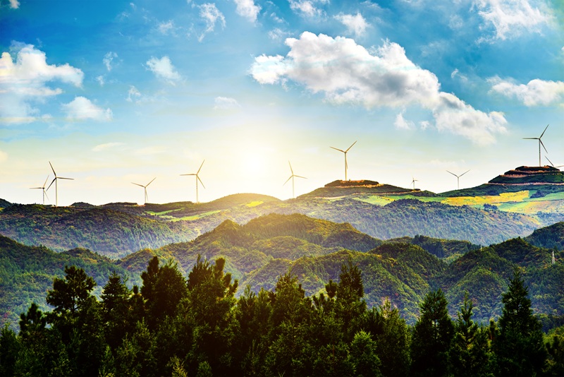 Net Zero là gì? Khám phá vai trò chiến lược Net Zero