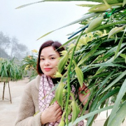 Họ tên