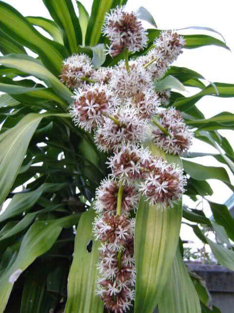 Họ và tên