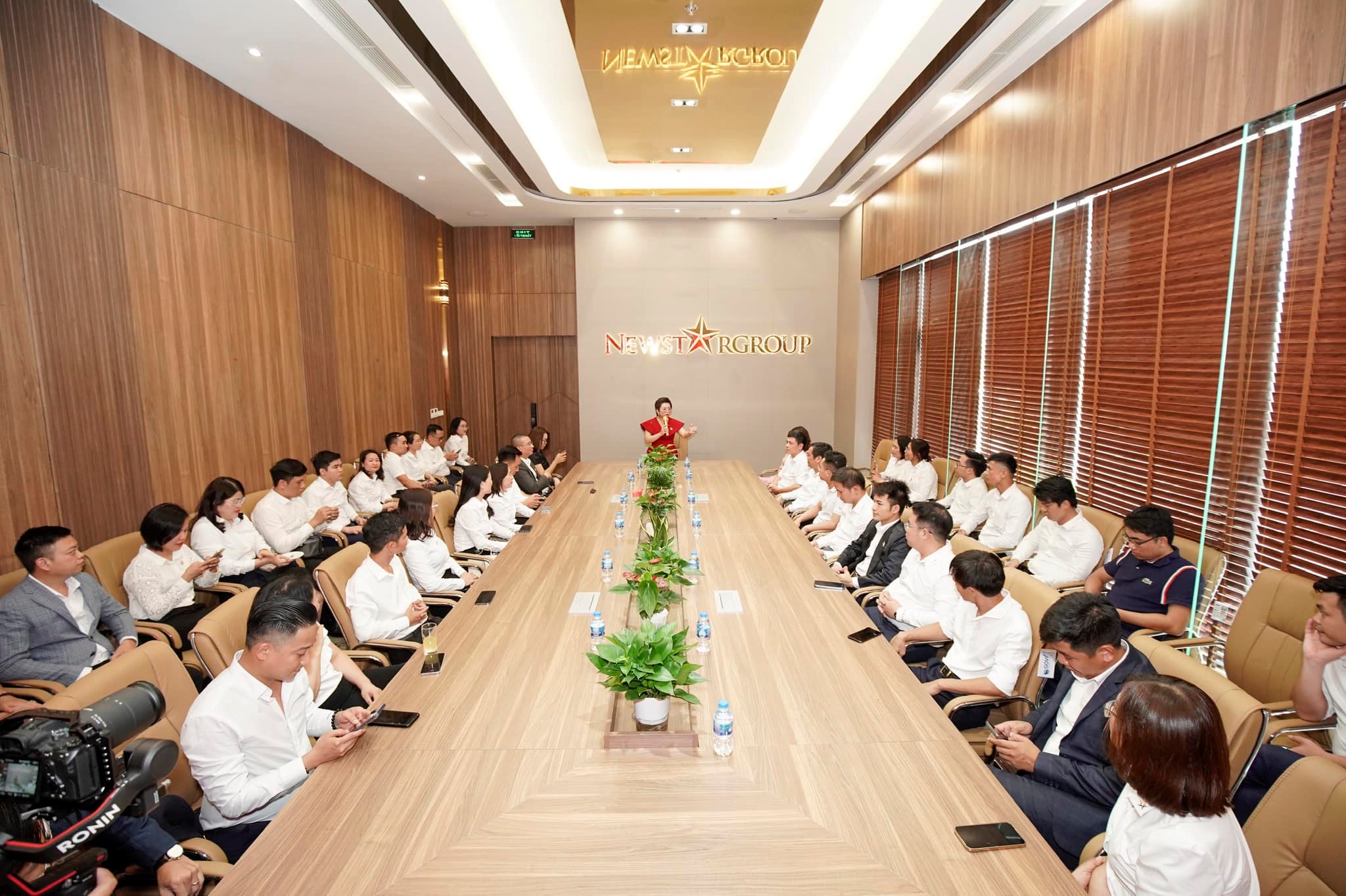 lĩnh vực hoạt động